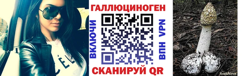 MEGA рабочий сайт  Чухлома  Галлюциногенные грибы мицелий 